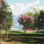 Locarno, il 18 settembre apre il Giardino dei Giusti