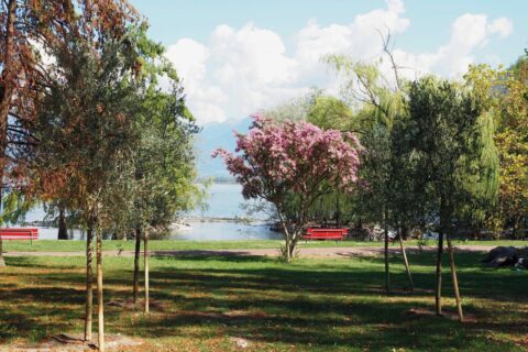 Locarno, il 18 settembre apre il Giardino dei Giusti Quattro storie di solidarietà e opposizione all’ingiustizia diventano memoria pubblica nel nuovo spazio del Parco della Pace Meta description: Giardino dei Giusti di Locarno: il 18 settembre l’inaugurazione dedicata a Polia Rusca, Lilly Volkart, Luigi Rusca e Wladimir Rosenbaum