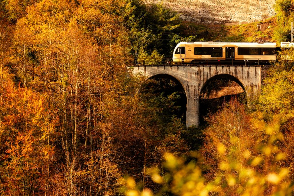 Treno del Foliage, dal 10 ottobre torna il viaggio d’autunno tra Locarno e Domodossola