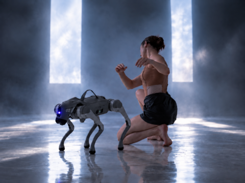 danza contemporanea